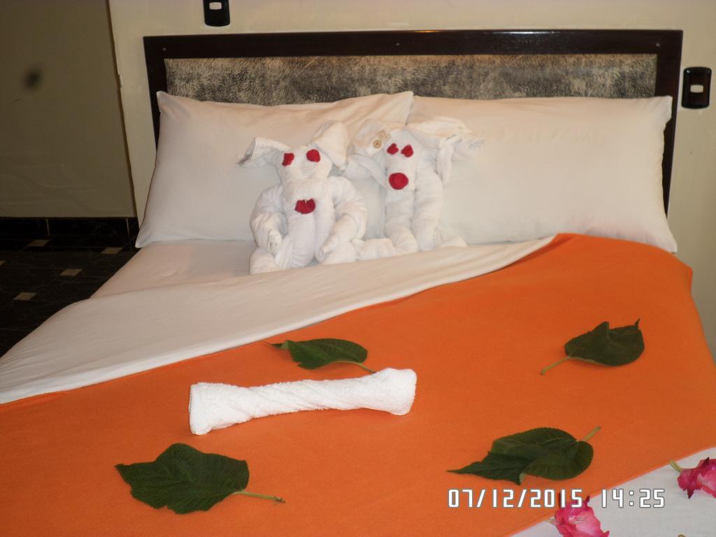 New Day Machu Picchu Hotel Aguas Calientes Bagian luar foto