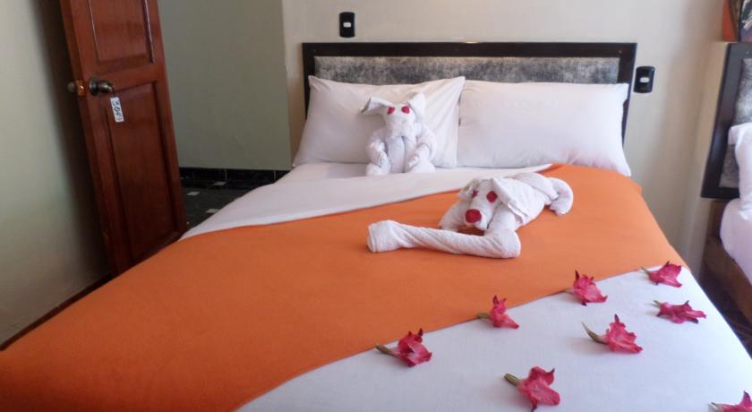 New Day Machu Picchu Hotel Aguas Calientes Bagian luar foto
