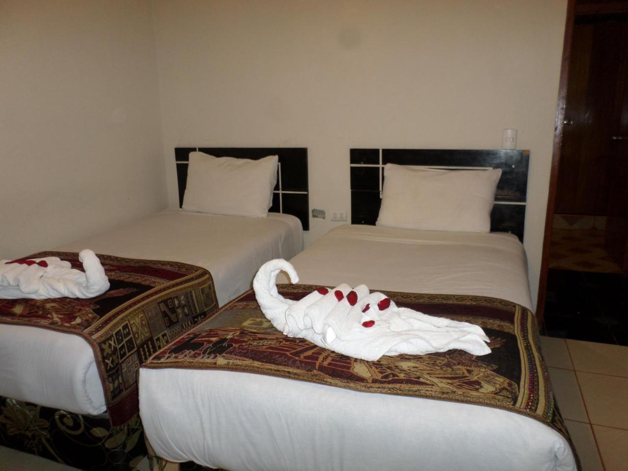 New Day Machu Picchu Hotel Aguas Calientes Bagian luar foto